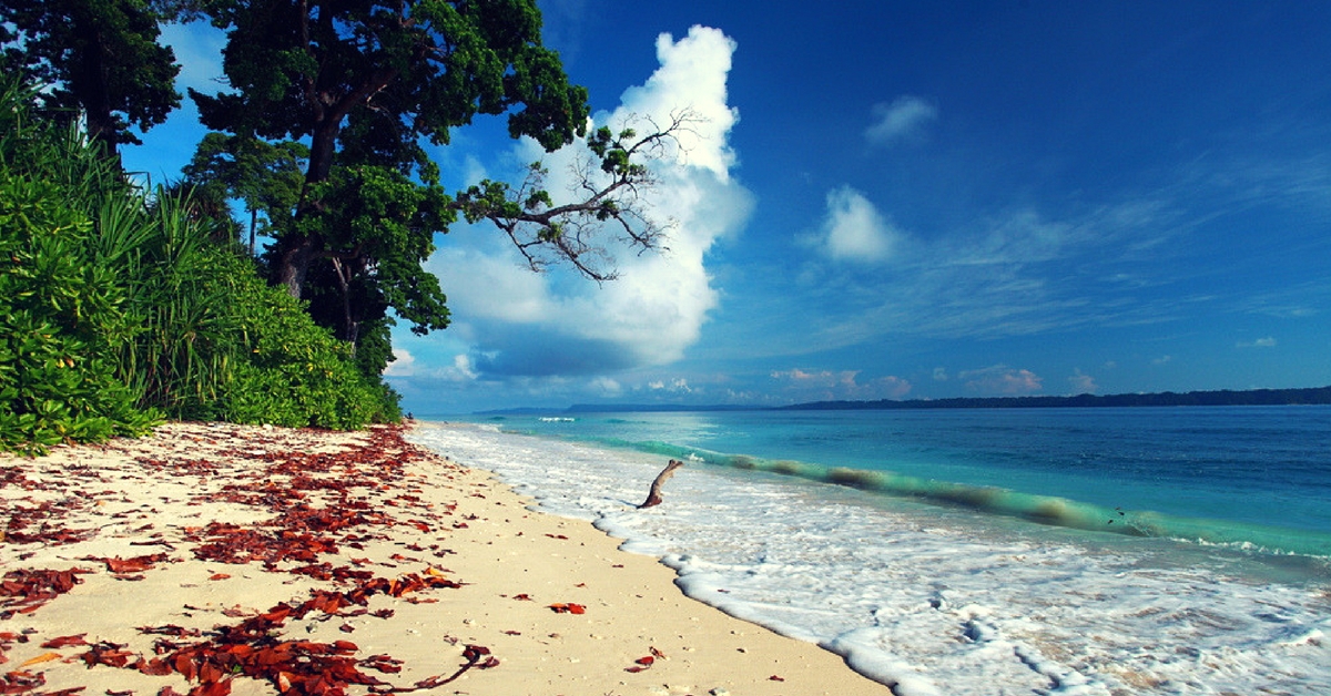 Havelock Island